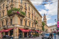   parma